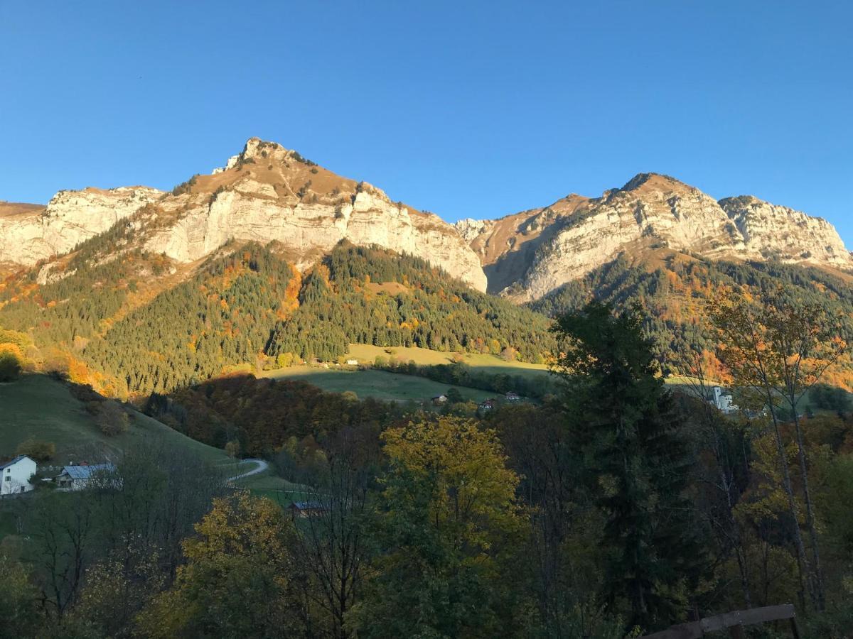 Magnifique T3 Entre Lac Et Montagne Pres D'Annecy Montmin Bagian luar foto