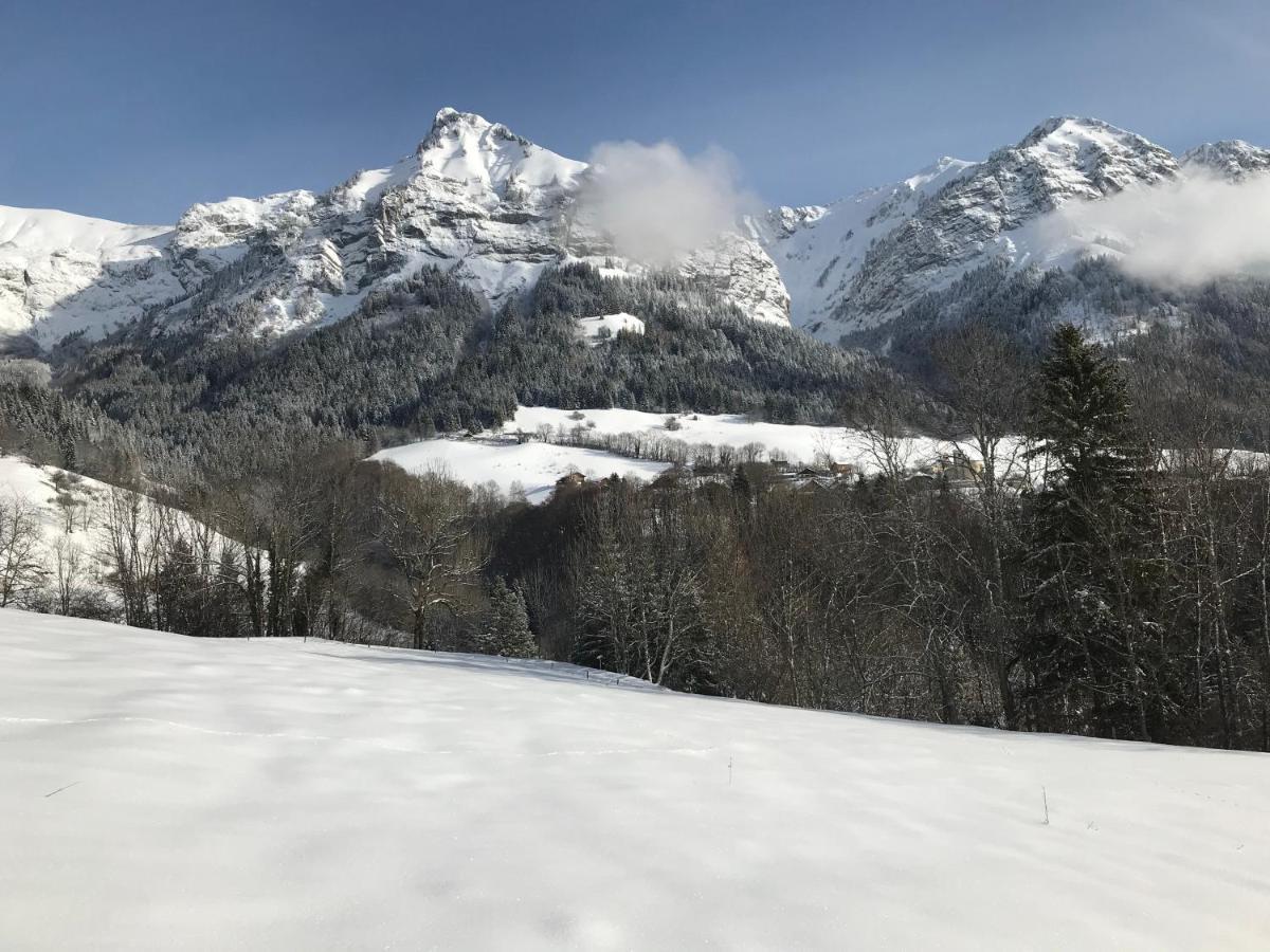 Magnifique T3 Entre Lac Et Montagne Pres D'Annecy Montmin Bagian luar foto